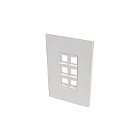 Tripp Lite 6-port Single-gang Keystone Wallplate (N080106)