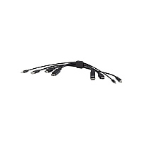 Belkin Taa Dual (1) Hdmi-hdmi (1) Dp-dp/usb/au (F1DN2CCHHPP10T)