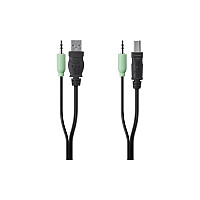 Belkin Taa Usb/aud Skvm Cbl,6 Ft (F1D9022B06T)