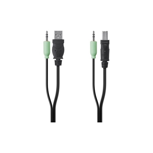 Belkin Taa Usb/aud Skvm Cbl, 10 Ft (F1D9022B10T)
