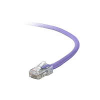 Belkin Cat5e Patch Cable (A3L79104PUR)