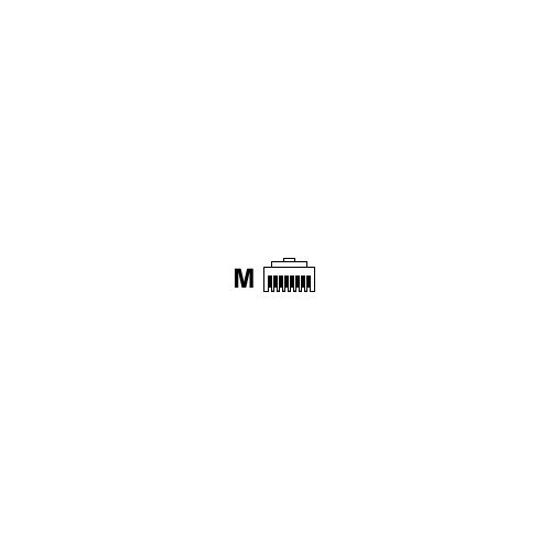 Belkin Cat6 Modular Connectors 100 (R6G099LB100)