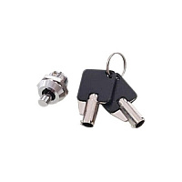 Compulocks Keyed Alike Lock Head & Keys #25hd (LHKA25)