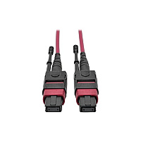 Tripp Lite 1m Mtp Mpo Mmf Patch Cable 40gb Om4 50 (N84501M12MG)