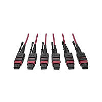 Tripp Lite 24-fiber Mtp Mpo Om4 Base-8 Mmf Trunk (N85815M3X8MG)