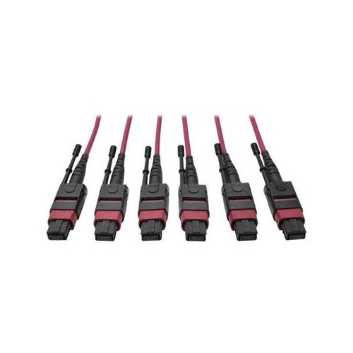 Tripp Lite 24-fiber Mtp Mpo Om4 Base-8 Mmf Trunk (N85815M3X8MG)