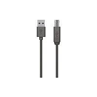 Belkin Cable,usb,dstp,usba/usbb,4.8m,device (F3U154BT4.8M)