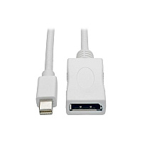 Tripp Lite 10ft Mdp To Displayport Adapter 4k M/f (P139010DPV2B)