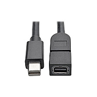 Tripp Lite 10ft Mini Displayport Extension Cable 4k (P585010)