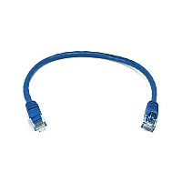 Monoprice Cat6 Utp Ethernet Cable_ 1ft Blue (2113)