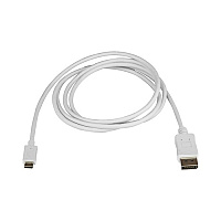 StarTech 6ft Usb C To Displayport 1.2 Cable 4k60 (CDP2DPMM6W)