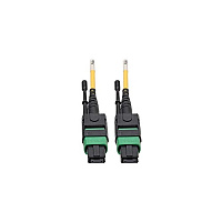 Tripp Lite Mtp/mpo (apc) Smf Fiber Patch Cable (N39007M12AP)