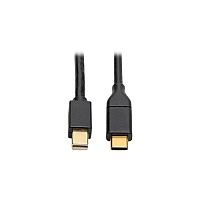 Tripp Lite Usb C To Mini Displayport 4k Adapter 6ft (U444006MDP)