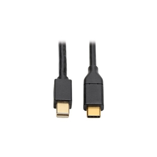 Tripp Lite Usb C To Mini Displayport 4k Adapter 6ft (U444006MDP)