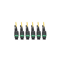 Tripp Lite Mtp/mpo Apc Smf Slim Trunk 40/100gbe 30m (N39230M3X8AP)