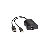 Black Box Server Access Module - Displayport + Usb (DCX3000DPT)