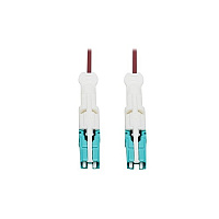 Tripp Lite Duplex Mmf Fiber Cable Cs-pc Cs-pc 10m (N822C10MMG)