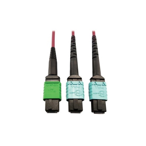 Tripp Lite Fiber Mtp/mpo-apc X2 12f Mtp/mpo-upc 1m (N846D01M16DMG)