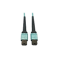 Tripp Lite Mmf Fiber Cable 24f Mtp/mpo-pc F/f 1m (N846D01M24AAQ)