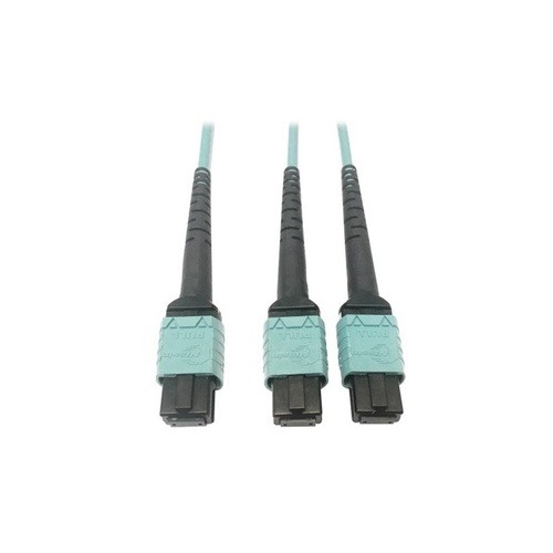Tripp Lite Fiber 24f Mtp/mpo-pcx2 12f Mtp/mpo-pc 1m (N846D01M24BAQ)