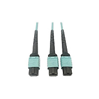 Tripp Lite Fiber 24f Mtp/mpo-pcx2 12f Mtp/mpo-pc 3m (N846D03M24BAQ)