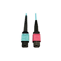 Tripp Lite Fiber 24f Mtp/mpoupc 16f Mtp/mpoupc 3m (N846D03M24DAQ)