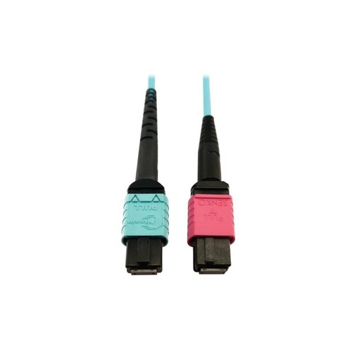 Tripp Lite Fiber 24f Mtp/mpoupc 16f Mtp/mpoupc 3m (N846D03M24DAQ)