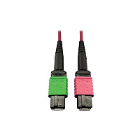 Tripp Lite Mmf Fiber Mtp/mpo-apc Mtp/mpo-upc F/f 5m (N846D05M16BMG)