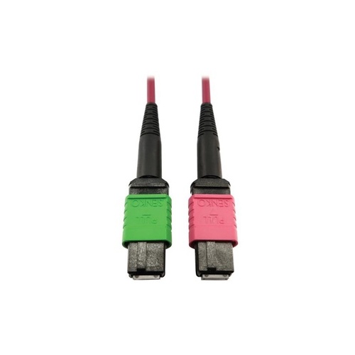 Tripp Lite Mmf Fiber Mtp/mpo-apc Mtp/mpo-upc F/f 5m (N846D05M16BMG)
