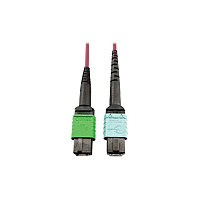 Tripp Lite Mmf Fiber Mtp/mpo-apc 24f Mtp/mpo-upc 5m (N846D05M16CMG)