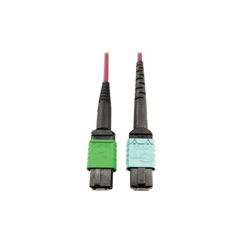 Tripp Lite Mmf Fiber Mtp/mpo-apc 24f Mtp/mpo-upc 5m (N846D05M16CMG)