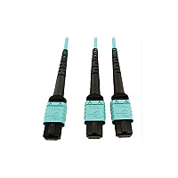 Tripp Lite Fiber 24f Mtp/mpo-pcx2 12f Mtp/mpo-pc 5m (N846D05M24BAQ)