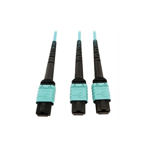 Tripp Lite Fiber 24f Mtp/mpo-pcx2 12f Mtp/mpo-pc 5m (N846D05M24BAQ)