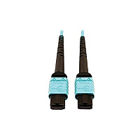 Tripp Lite Mmf Fiber Cable 24f Mtp/mpo-pc F/f 10m (N846D10M24AAQ)