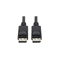 Tripp Lite Displayport Cable Antibacterial M/m 6ft (P580AB006)
