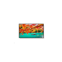 NEC Multisync (MA431)