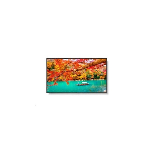 NEC Multisync (MA431)