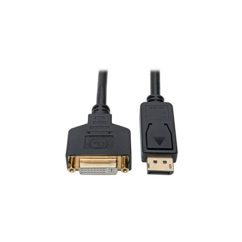 Tripp Lite Displayport To Dvi Adapter Cable M/f 1ft (P134001GC)