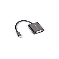 Black Box Mini Displayport To Dvi Adapter Converter - 1920x1200/1080p, Passive, Male/female, 8-in. (EVNMDPDVI)