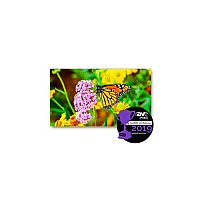NEC 55inch Ultra Narrow Bezel Video Wall (UN552S)