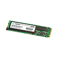 Axiom 250gb C2110n Series Nvme M.2 Ssd (SSDM23XNV250AX)