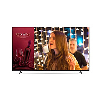 LG Hdmi(3), Rs-232c(1), Usb(1), Rf In(1), Audio Out(1), External Speaker (amplifier Not Included), Rj45in/out, Webos 6.0 (55UR340C9UD)