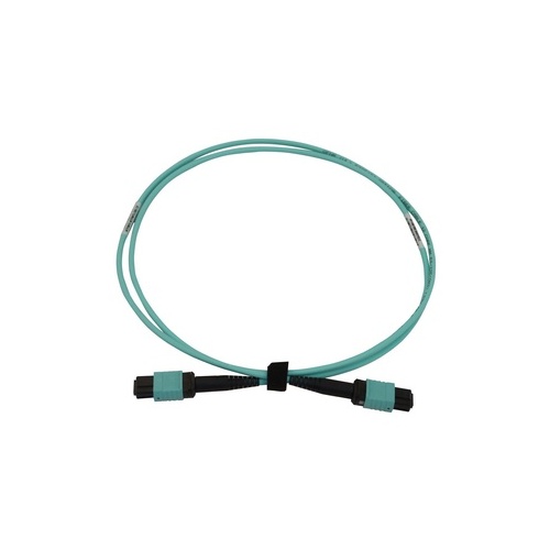 Tripp Lite Fiber Cable 40/100/400g 12fmtp/mpo-pc 2m (N844B02M12P)