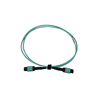 Tripp Lite Fiber Cable 40/100/400g 12fmtp/mpo-pc 5m (N844B05M12P)