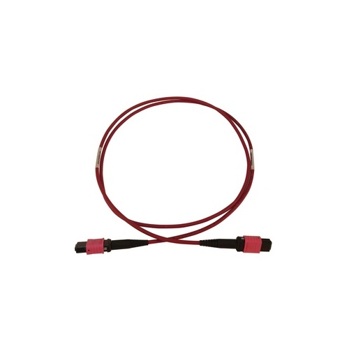 Tripp Lite Fiber Cable 100g Om4 12f Mtp/mpo-pc 2m (N845B02M12MG)