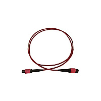Tripp Lite Fiber Cable 100g Om4 12f Mtp/mpo-pc 10m (N845B10M12MG)