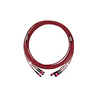 Tripp Lite Fiber Cable Mmf 3x8f Mtp/mpo-pc F/f 30m (N858B30M3X8MG)