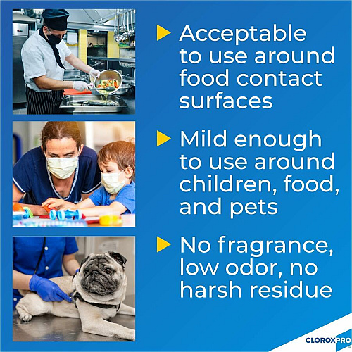 CloroxPro&trade; Anywhere Daily Disinfectant and Sanitizer For Nonporous Surface - 32 fl oz (1 quart) - No-rinse, Residue-free - Clear - 1 Each (01698)