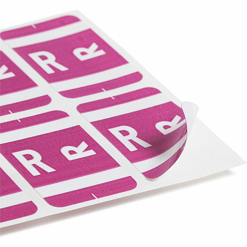 Smead AlphaZ ACCS Color-Coded Labels R - x 1" Width x 1 5/8" Length - Purple - Laminated - 10 / Sheet - 100 / Pack (67188)