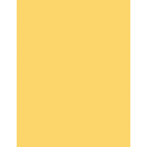 Sparco Premium Copy Paper - Canary Letter - 8 1/2" x 11" - 20 lb Basis Weight - Sustainable Forestry Initiative (SFI) - Lint-free, Archival-safe, Acid-free - Canary - 500 / Ream (05122)